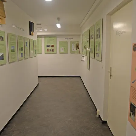 Zur Fledermaus ゲストハウス