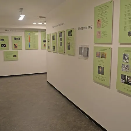 Zur Fledermaus ヴァーレン