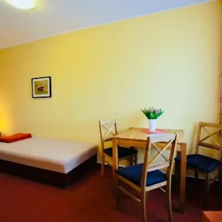 Konukevi Zur Fledermaus 3*