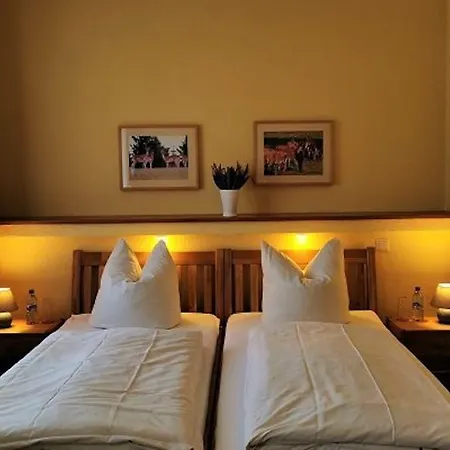 ゲストハウス Zur Fledermaus